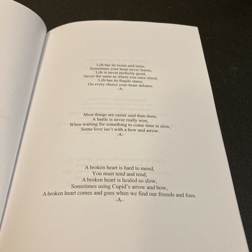 Allison Pruitt Strokes in Time Inspirational Poetry Collection Contemporary Poem - Picture 4 of 7
